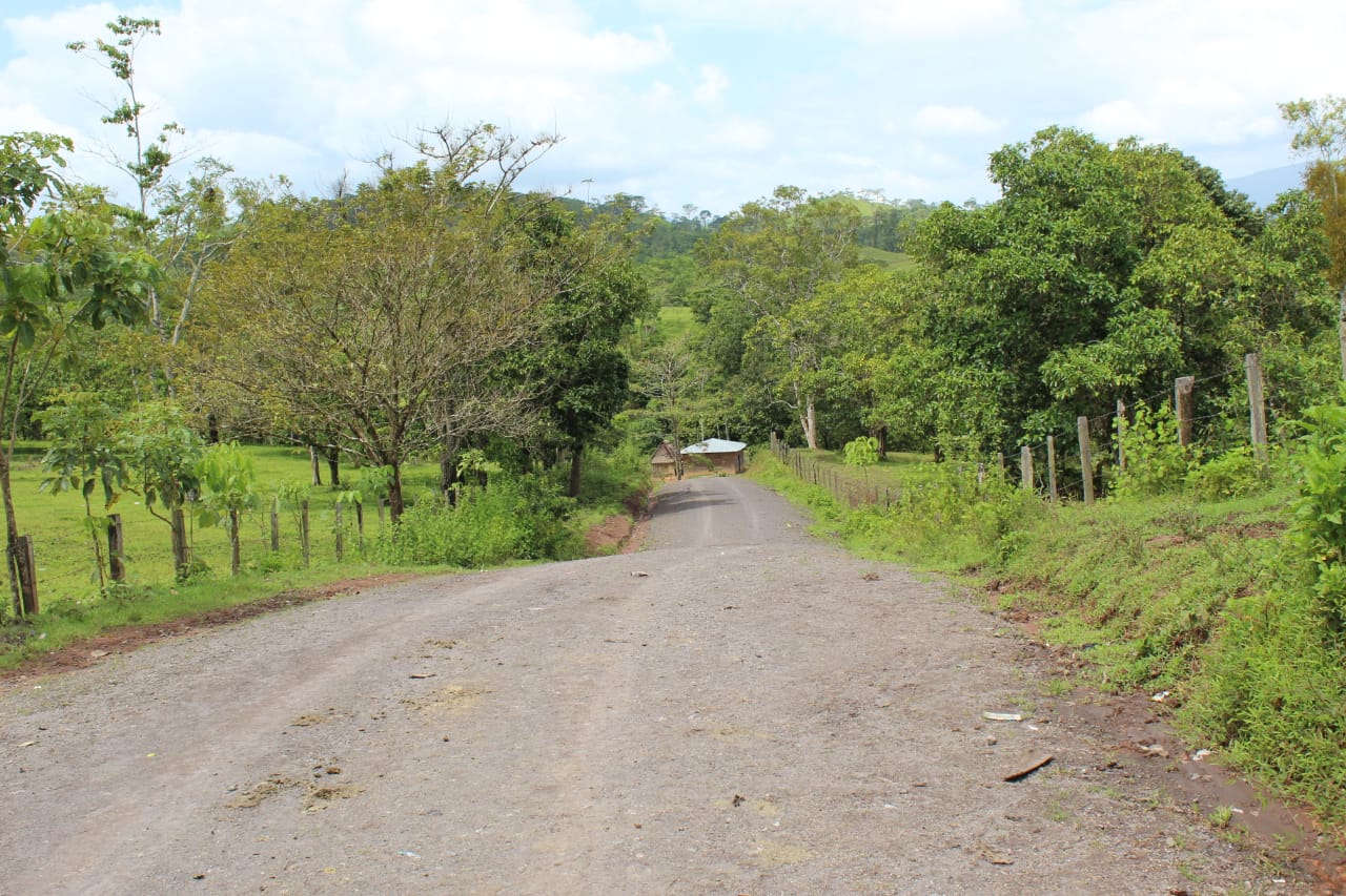 siuna2